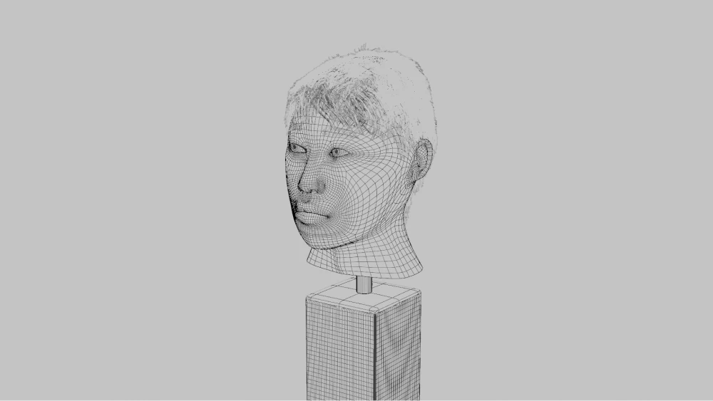 3D Model of my face, viewport render