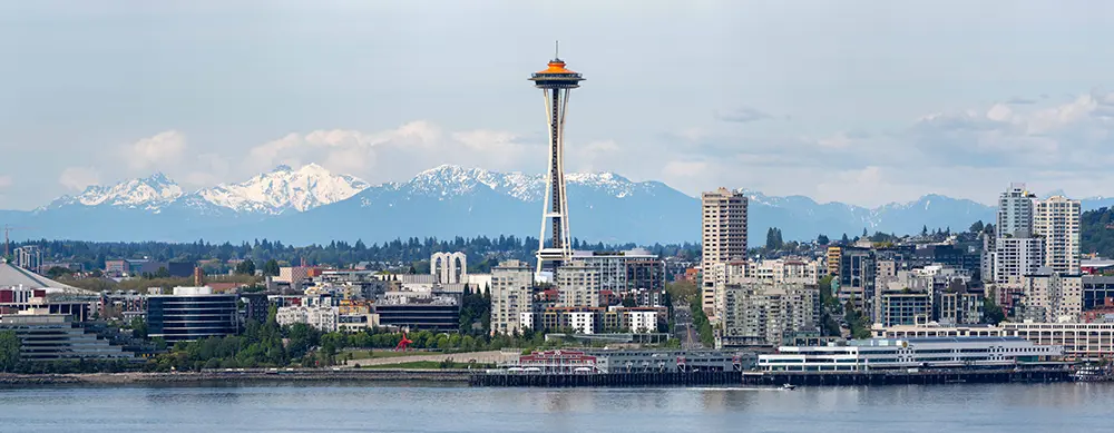 Landscape of the Seattle Needle and surrounding area