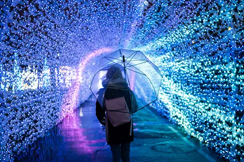 Person under clear umbrella under tunnel of LED lights