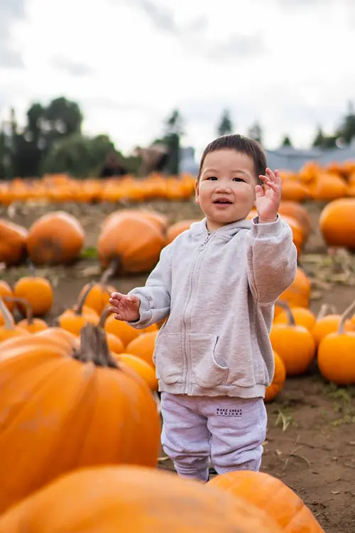 Toddler waving at the pumpkin patch