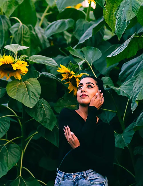 Person caressing their face among sunflowers