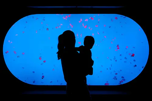 Silhouette of a person holding their infant child in front of jellyfish tank