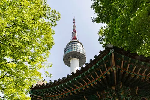 Seoul tower between trees